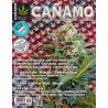 Revista Cáñamo 191