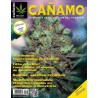 Revista Cáñamo 177