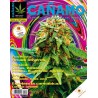Revista Cáñamo 165