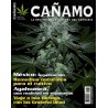 Revista Cáñamo 138