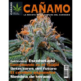 Revista Cáñamo 127