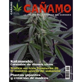 Revista Cáñamo 122