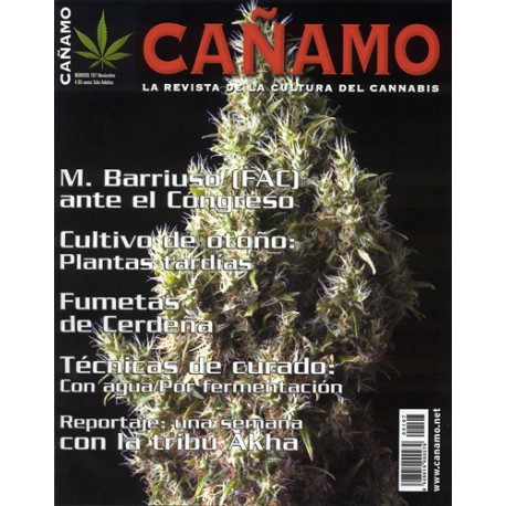 Revista Cáñamo 107