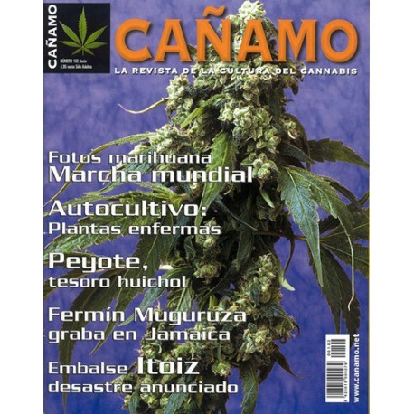 Revista Cáñamo 102