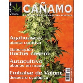 Revista Cáñamo 101
