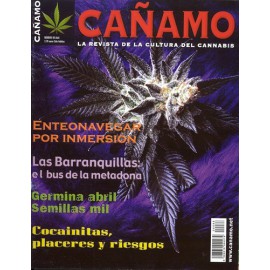 Revista Cáñamo 088