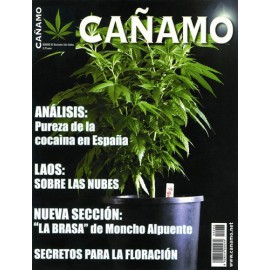 Revista Cáñamo 083