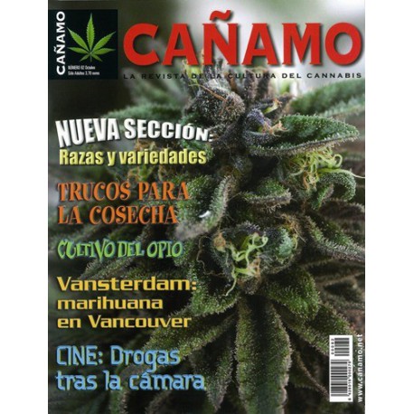 Revista Cáñamo 082