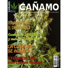 Revista Cáñamo 081