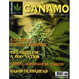 Revista Cáñamo 077