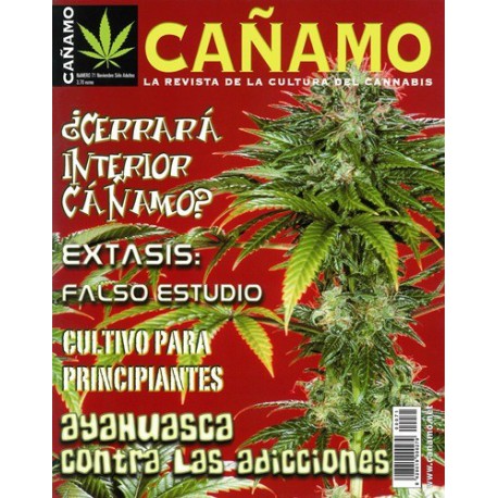 Revista Cáñamo 071