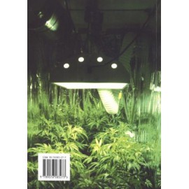 Marihuana. Cultivo interior