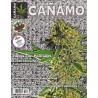 Revista Cáñamo 193