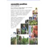 Cannabis positivo