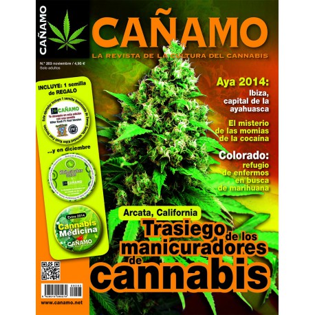 Revista Cáñamo 203