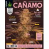 Cáñamo 243